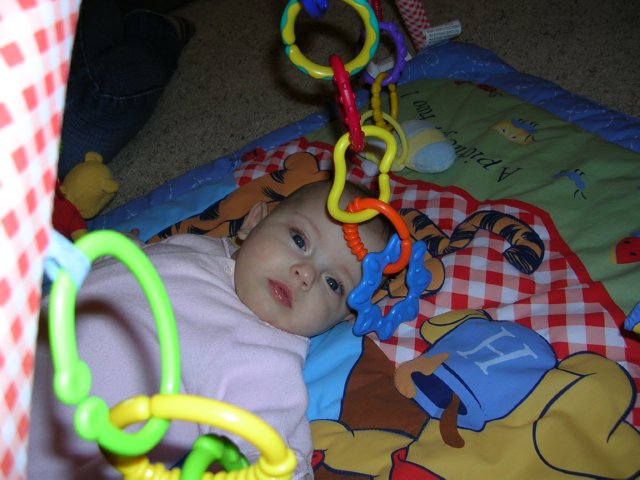 DSCN1223