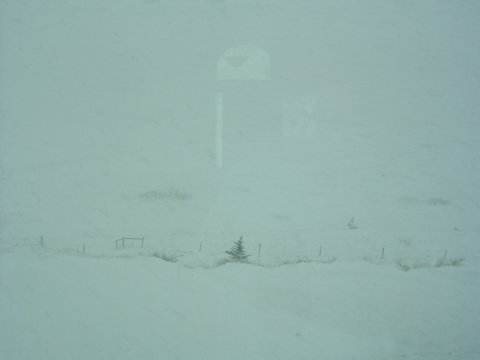 03202006