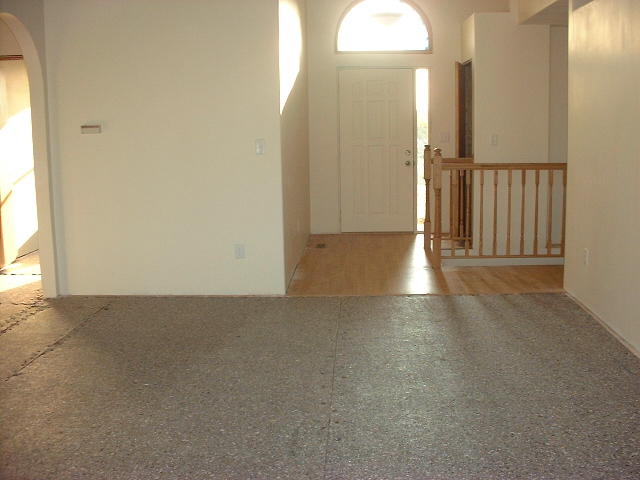 Before Carpet